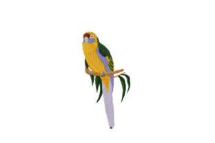 Green Rosella Embroidery Design Review