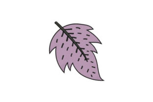 Purple Leaf