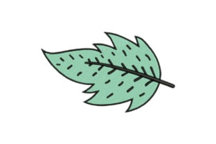Teal Leaf