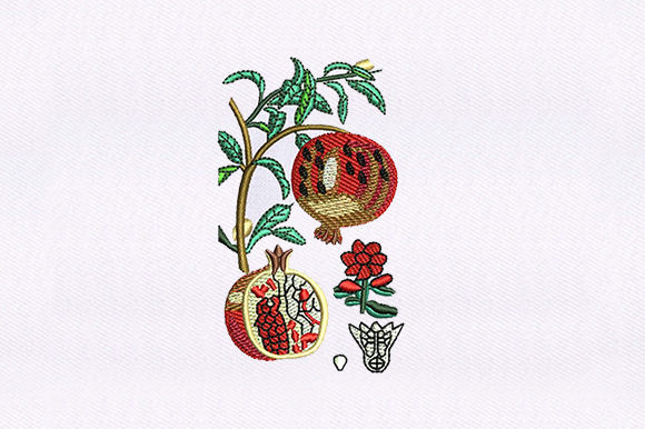 Vines Pomegranate: A Boutique Sweatshirt Embroidery Review